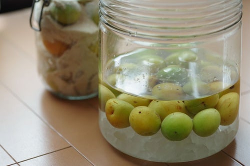 果実酒瓶で漬ける梅の写真