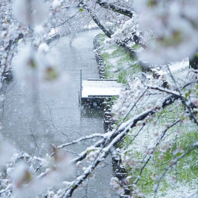 河川の桟橋と降雪の写真