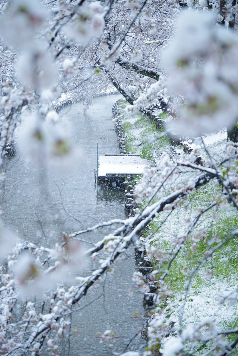 「河川の桟橋と降雪」の写真
