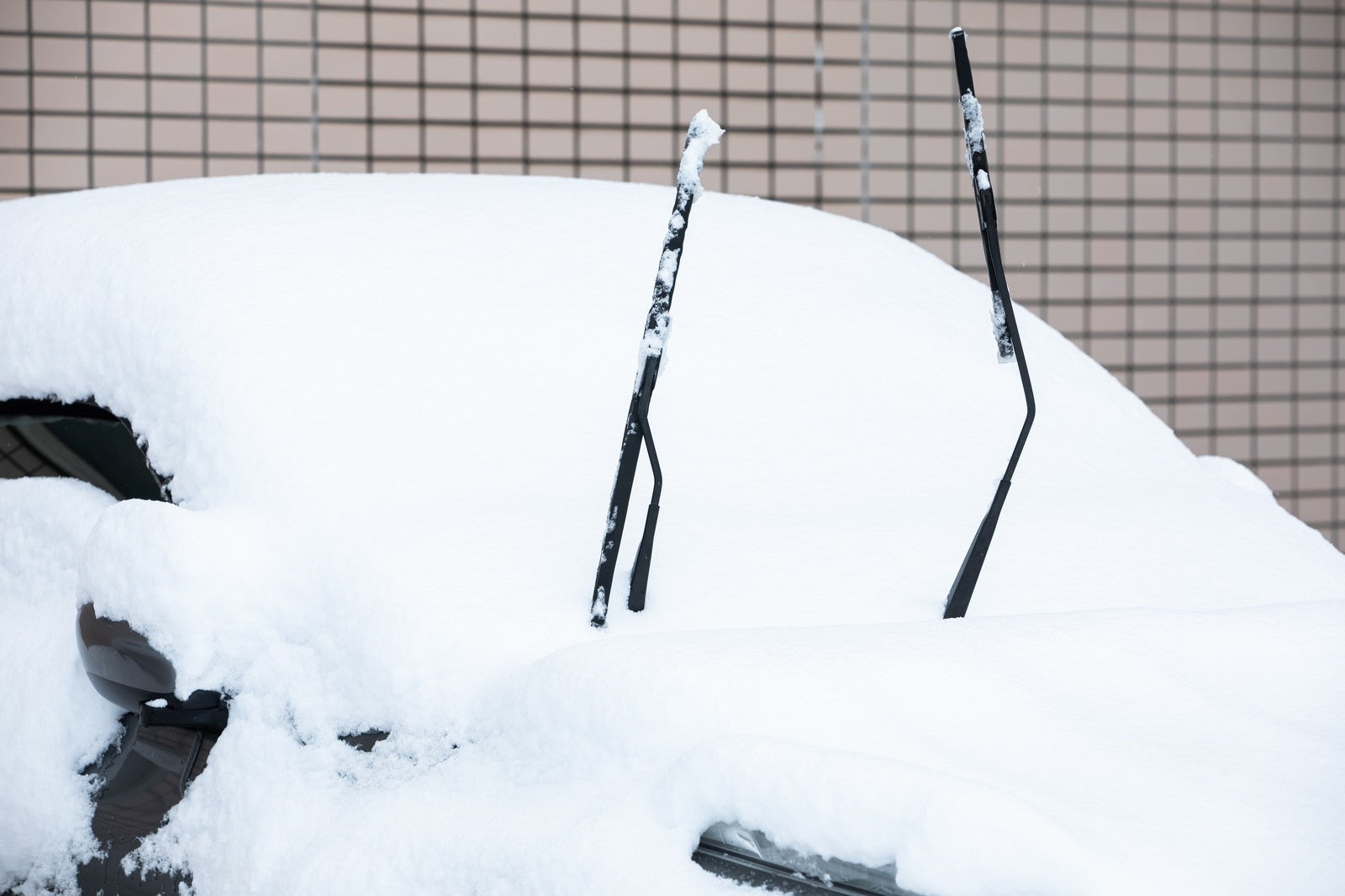 「ワイパーを立てた状態で積雪」の写真