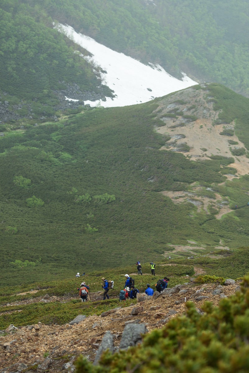 「傾斜のある登山道を下山する登山者の列」の写真