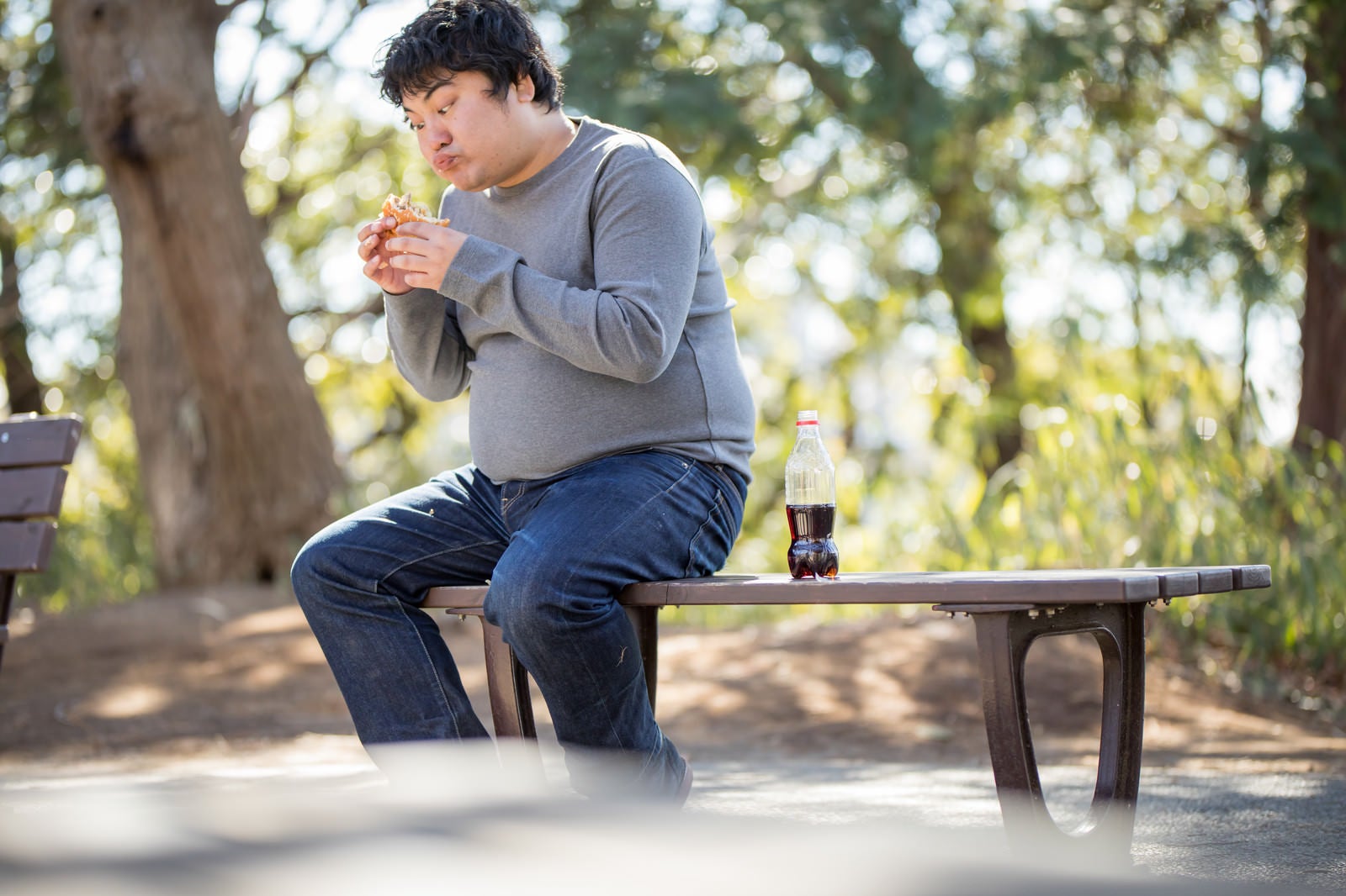 「公園のベンチでハンバーガーを貪るメタボ男子」の写真［モデル：段田隼人］