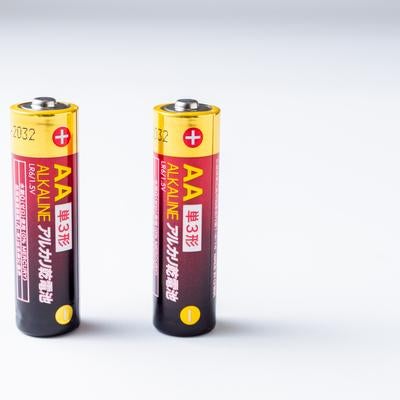 白背景に並べられた2本のアルカリ電池の写真