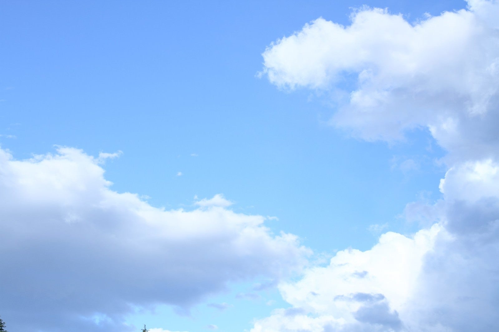 「青空と雲」の写真