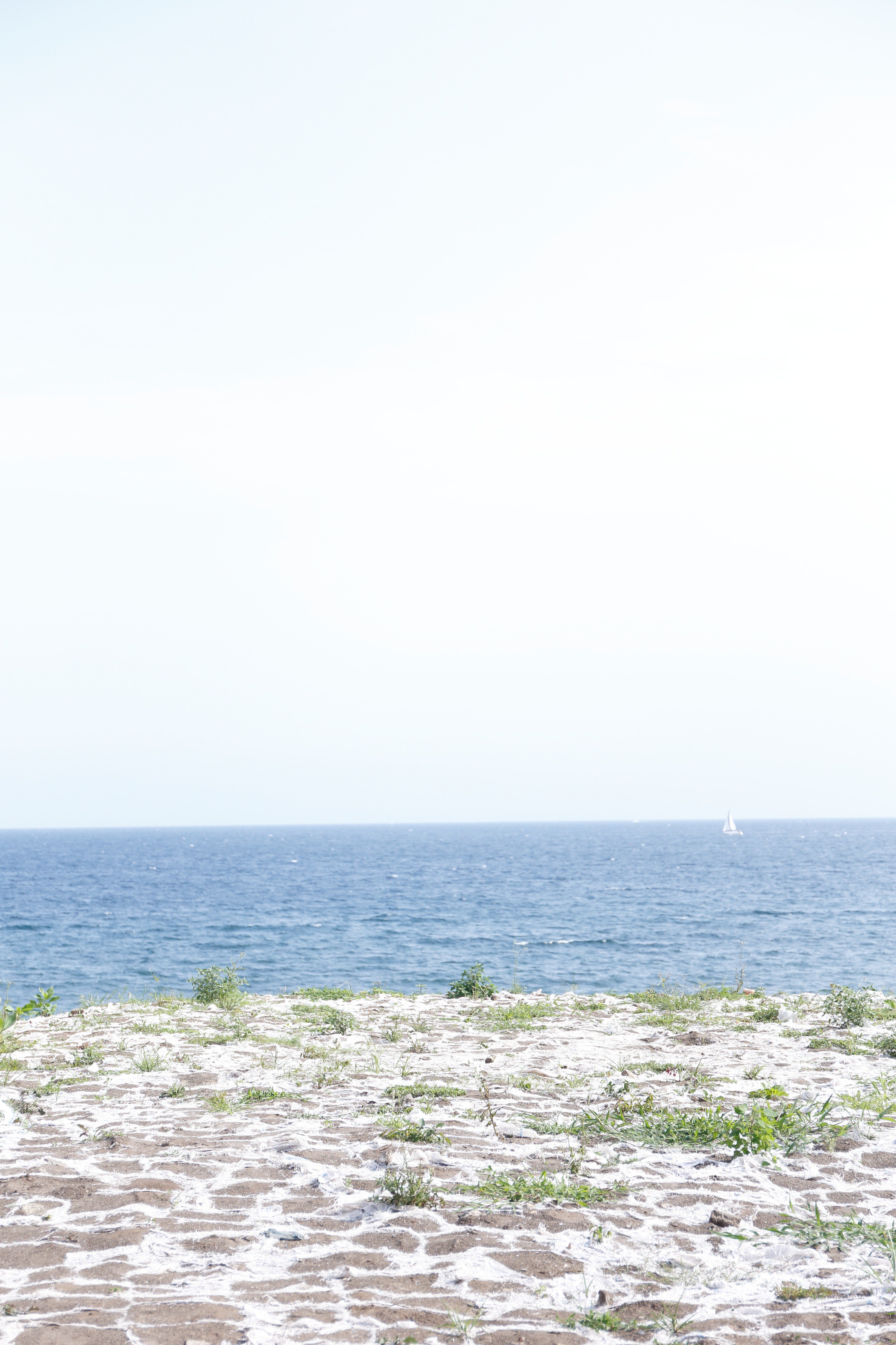 TSU852_daremoinai.jpg?&download=1