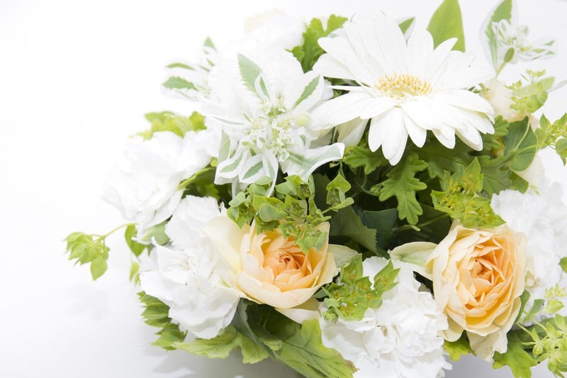 白い花の贈りものの写真