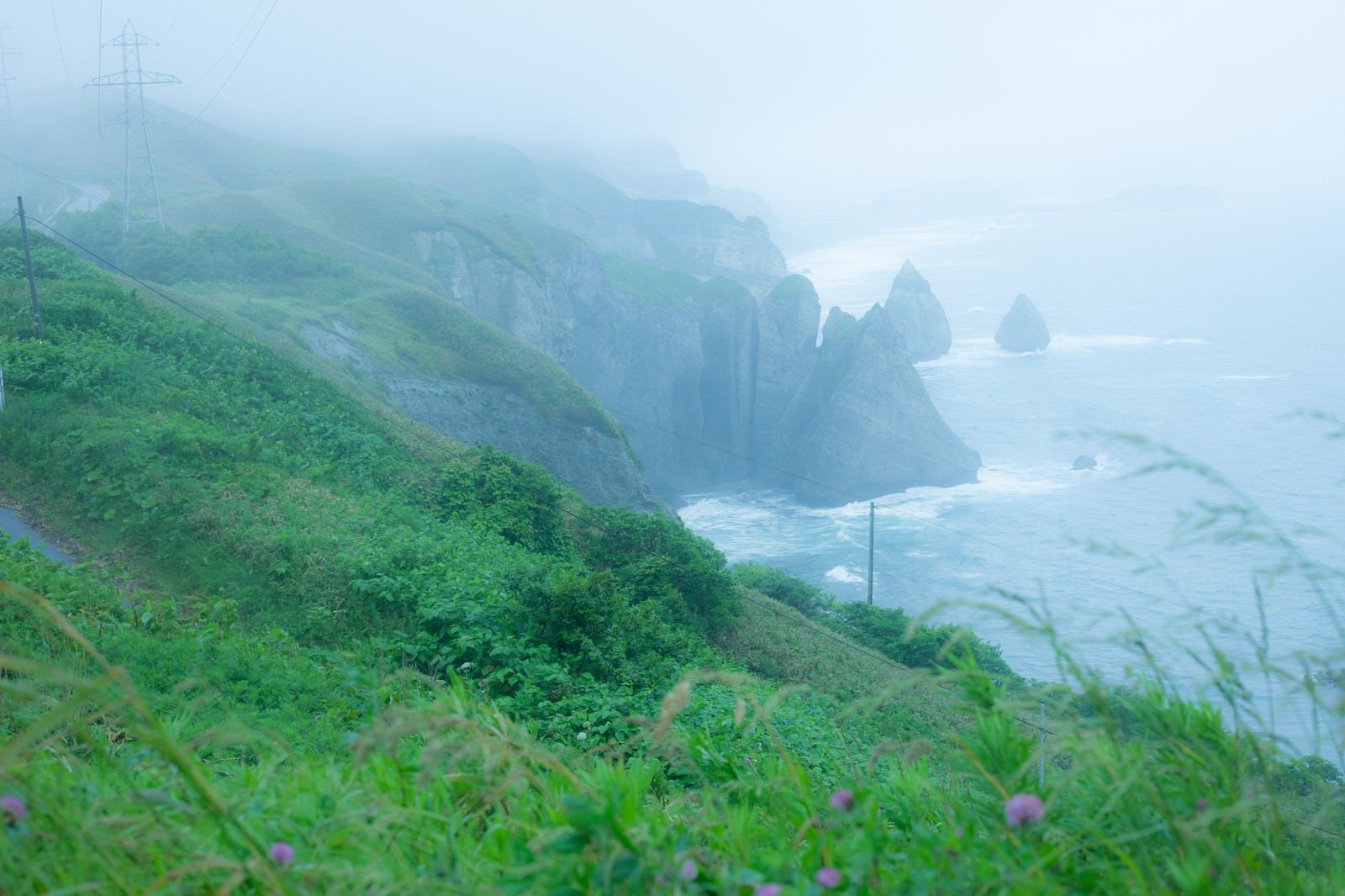 「崖のある海、大自然とぼく」の写真