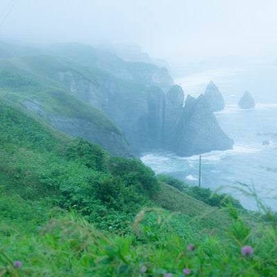 崖のある海、大自然とぼくの写真