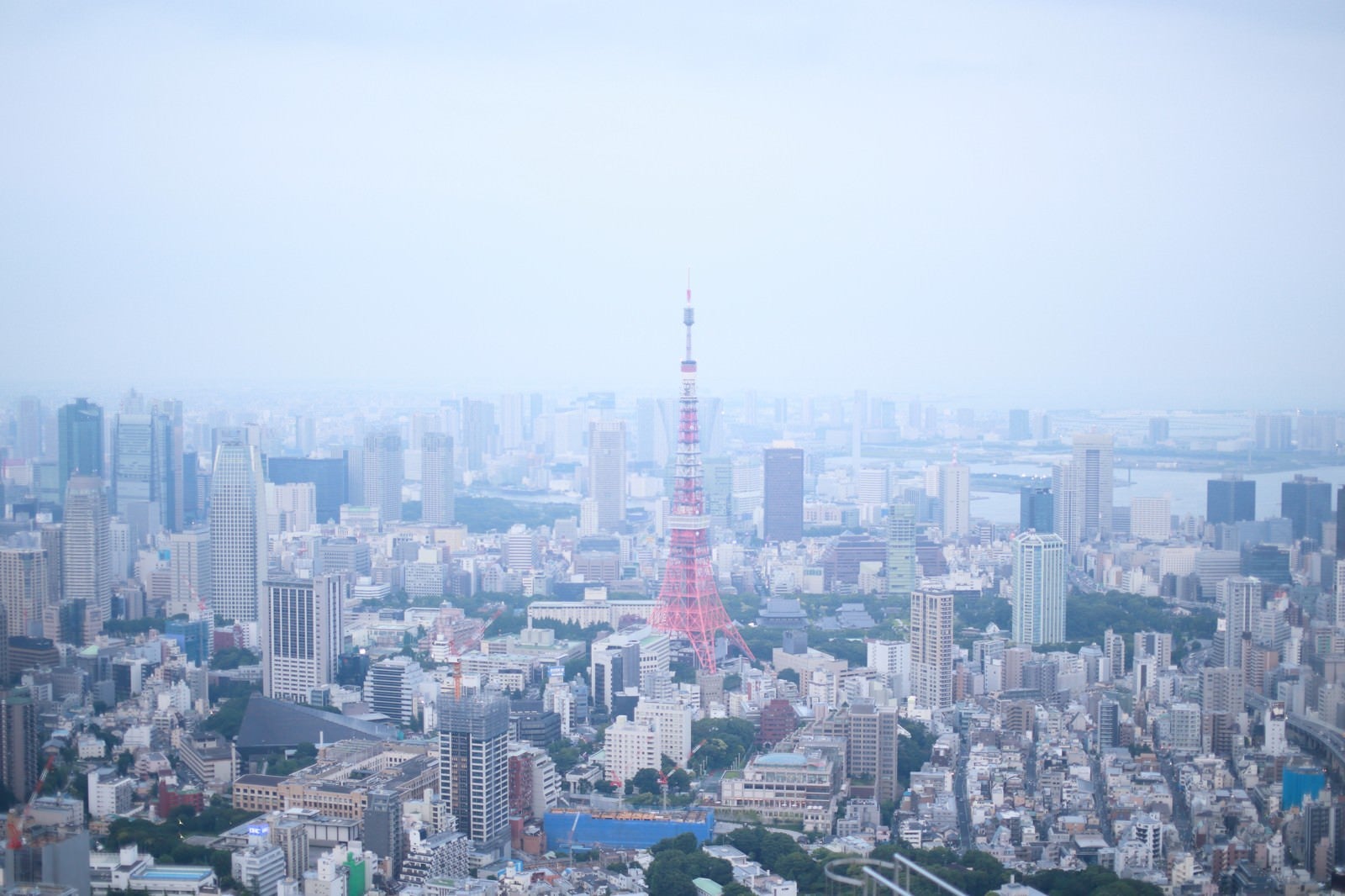 「淡い雰囲気の東京タワー周辺」の写真