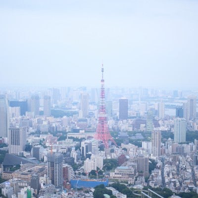 淡い雰囲気の東京タワー周辺の写真