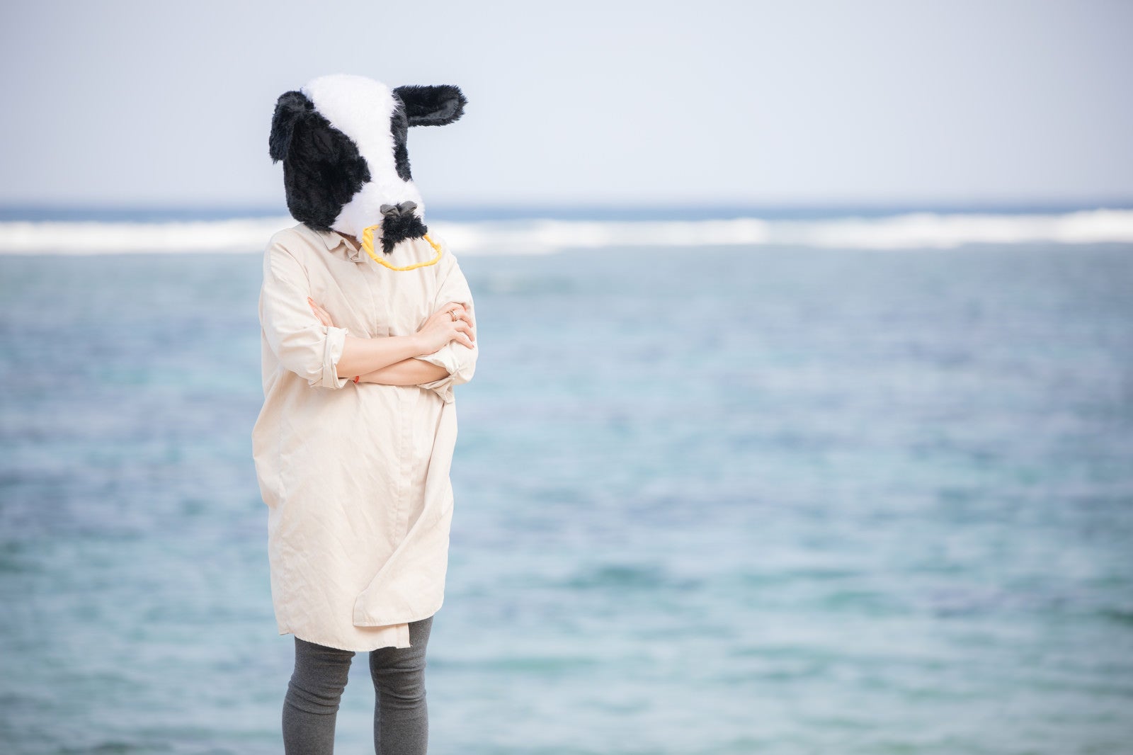 「海辺で考えるエト牛」の写真［モデル：古性のっち］