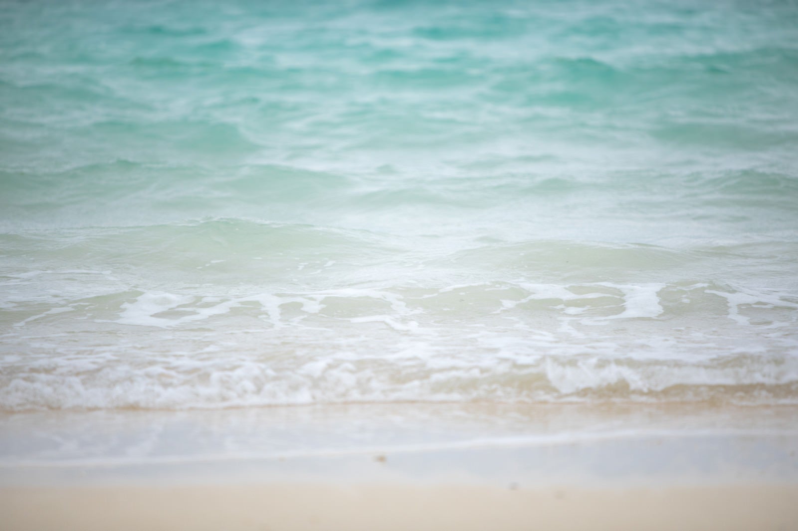 「エメラルドグリーンの海と砂浜」の写真