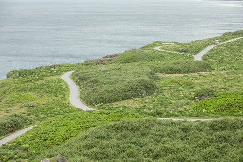 宮古島の東平安名崎岬の遊歩道の写真