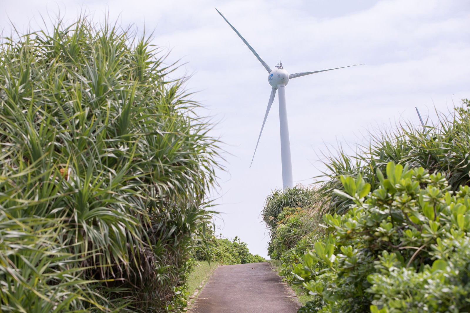 「宮古島の風力発電に続く道」の写真