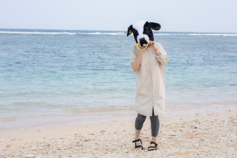 彼女（牛）と宮古島の砂浜でキャッキャモーモーの写真