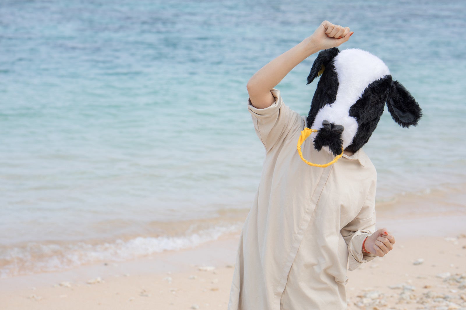「南の島で元気になる牛ガール」の写真［モデル：古性のっち］