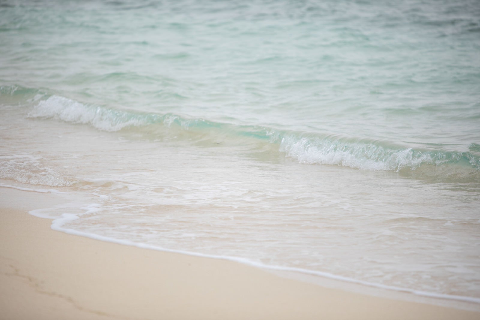 「綺麗な海と波打ち際」の写真