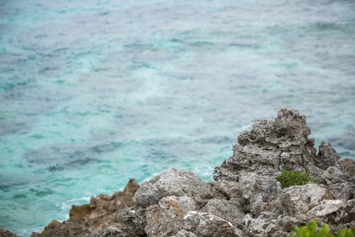 ゴツゴツした岩場と透き通る海の写真