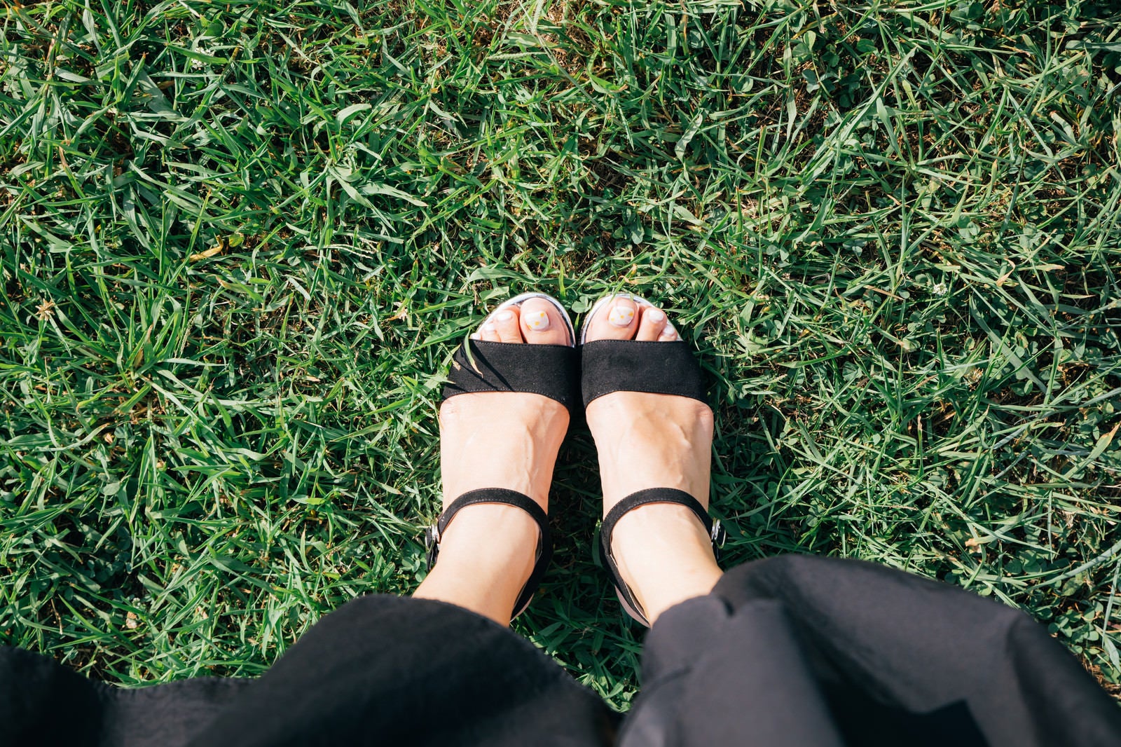 「芝生と女性の足元」の写真