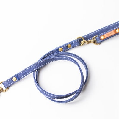 伸びたりしないリード（犬用）の写真