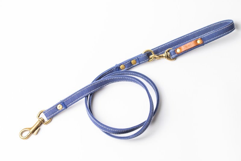 Non-Retractable Dog Leash