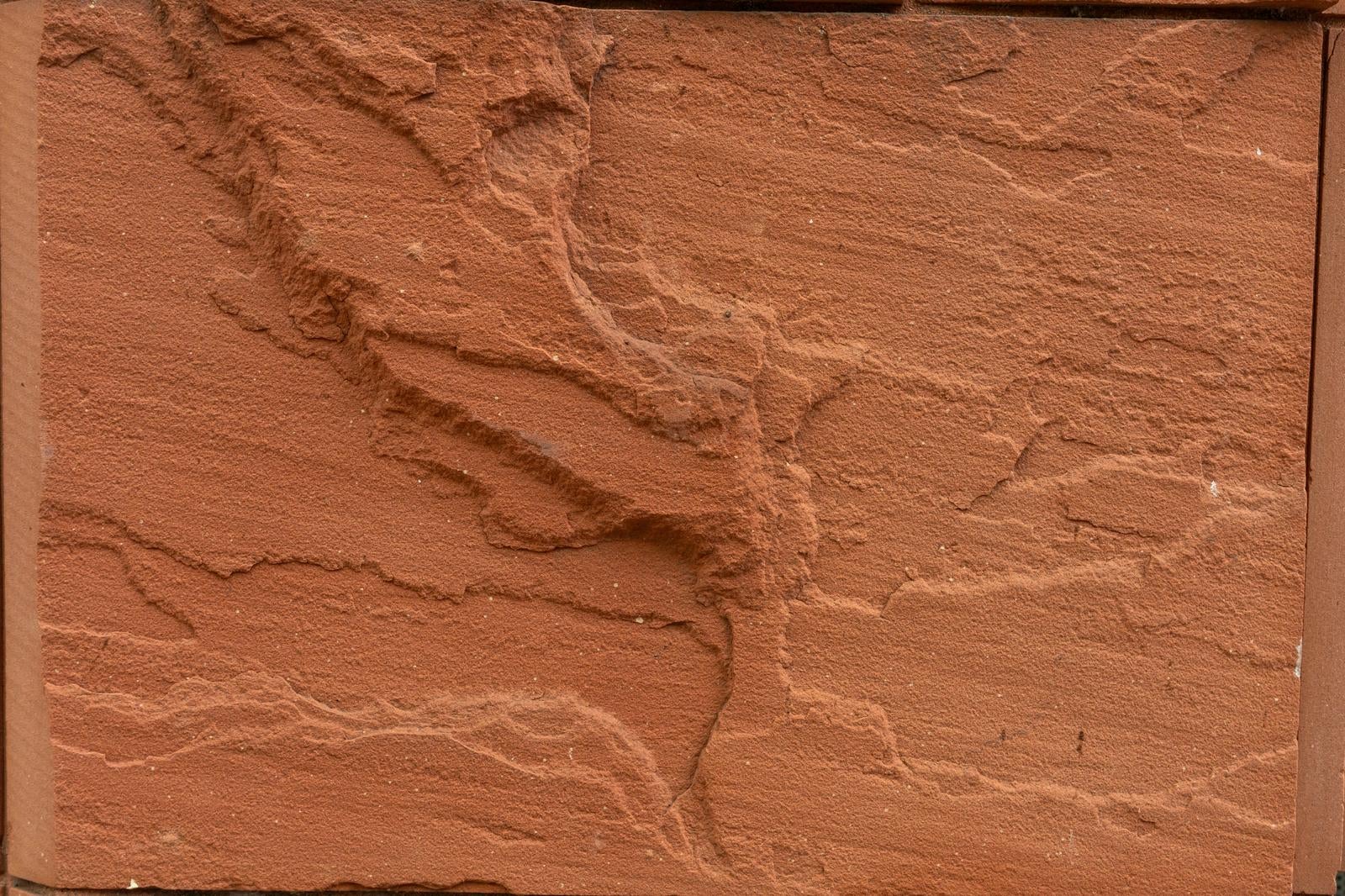 赤茶色の外壁に植物模様が浮き彫りで刻まれたテクスチャー