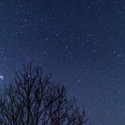 冬の星空の写真