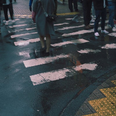 雨上がりの横断歩道を渡る足元の写真
