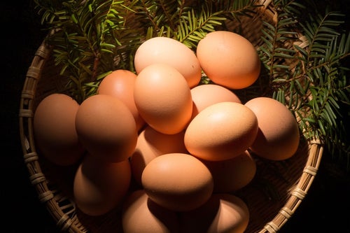 卵かけご飯との相性が最高の「さくらこめたまご（国産）」の写真