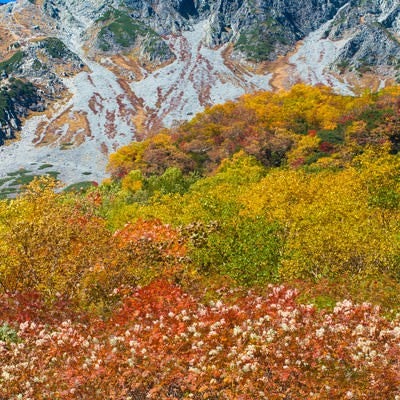 9月の紅葉シーズンピークの涸沢カールの写真