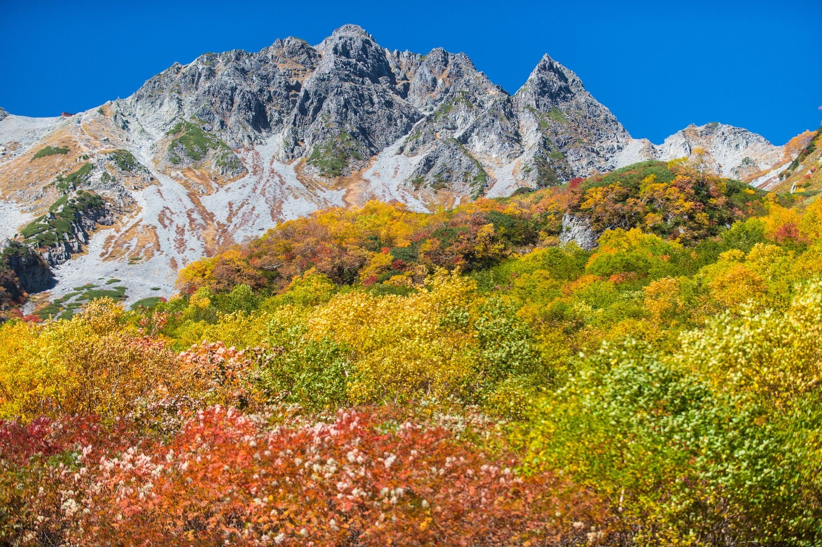 「紅葉に彩られた涸沢の先にあるザイテングラードと穂高」の写真