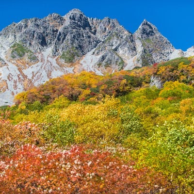 紅葉に彩られた涸沢の先にあるザイテングラードと穂高の写真