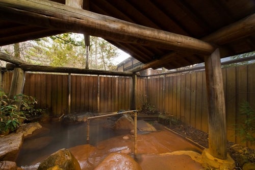 平湯館の贅沢な造りの貸切露天風呂の写真