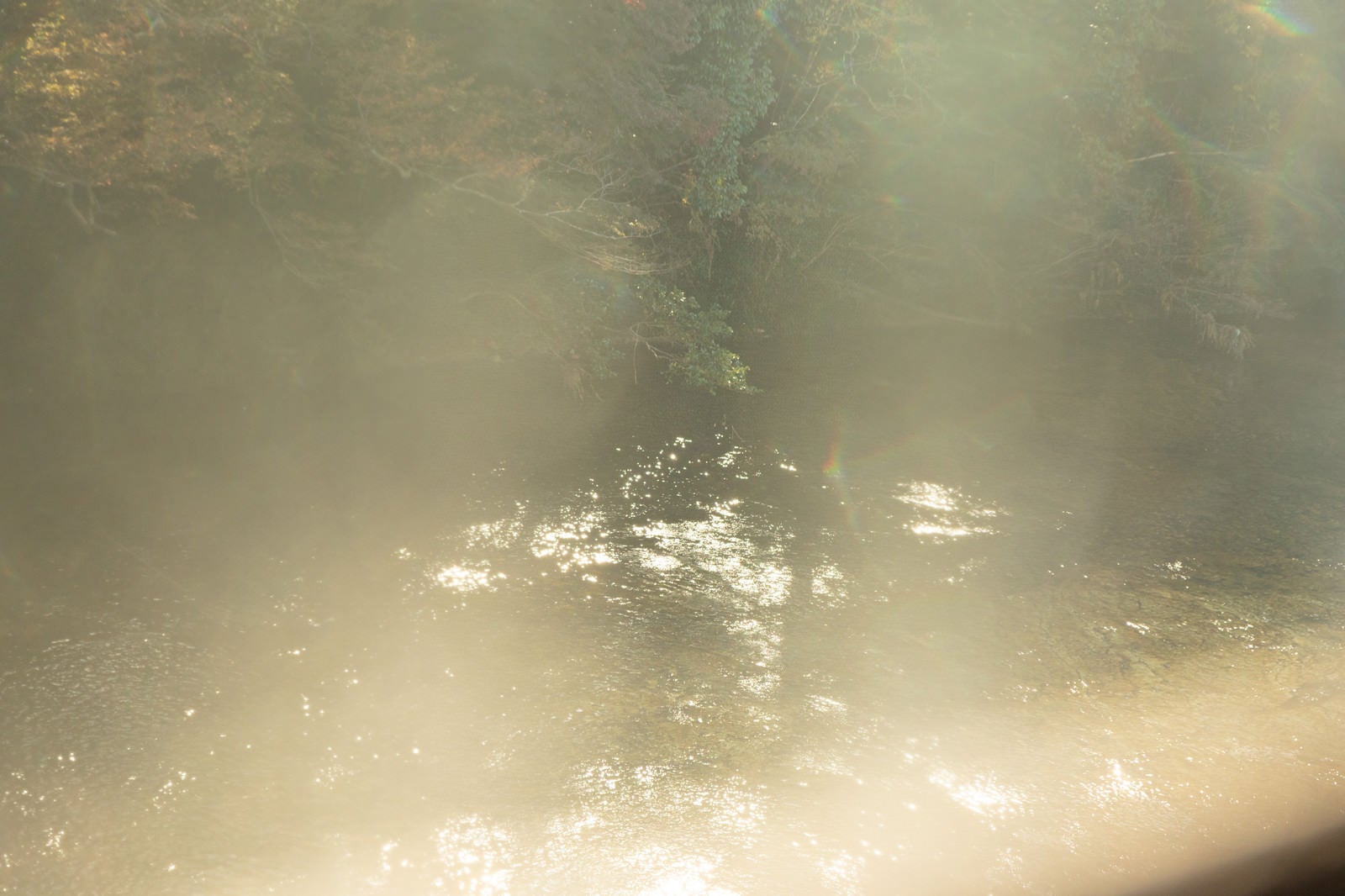 「靄がかる湖面に反射する日の光」の写真