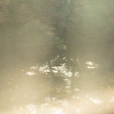 靄がかる湖面に反射する日の光の写真