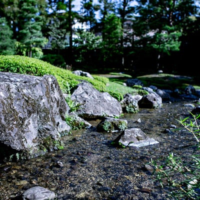 日本庭園にある川の写真