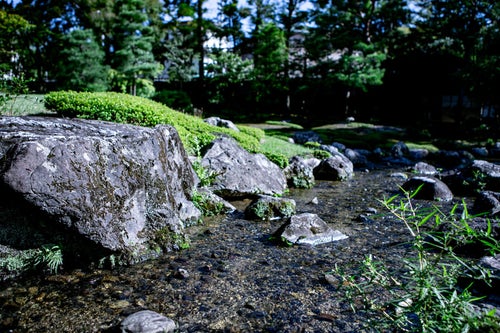 日本庭園にある川の写真