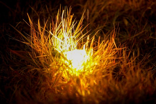 地面に設置された電球色のネオンの写真