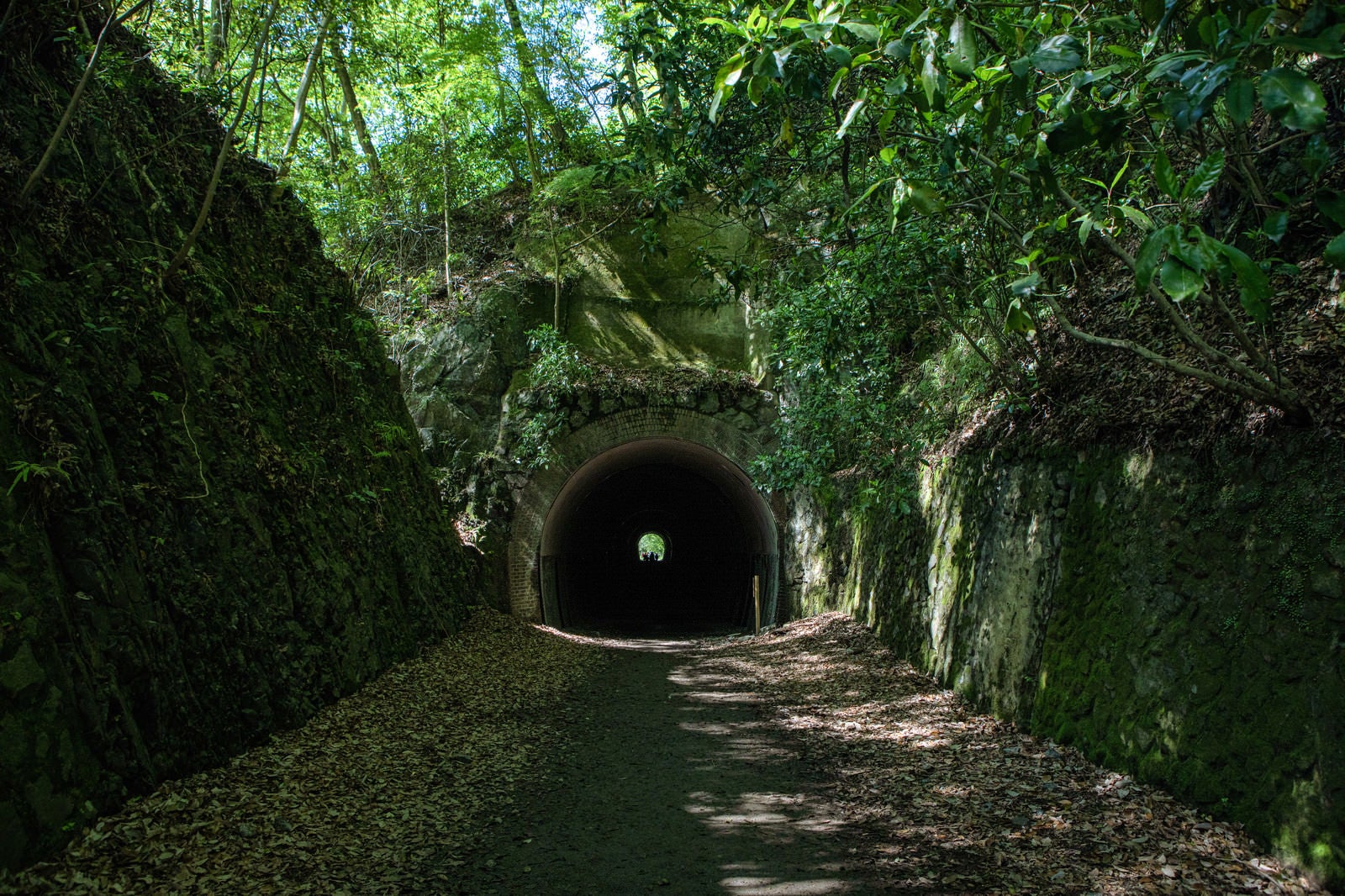 「ハイキングコースから見たトンネル（JR福知山線廃線敷）」の写真