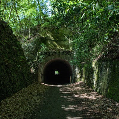 ハイキングコースから見たトンネル（JR福知山線廃線敷）の写真