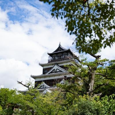 復元された美 広島城の写真