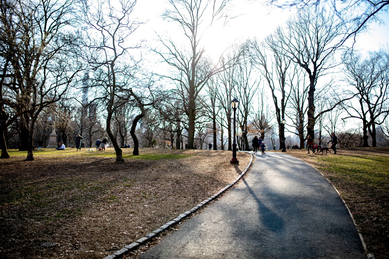 「ニューヨークの公園」の写真