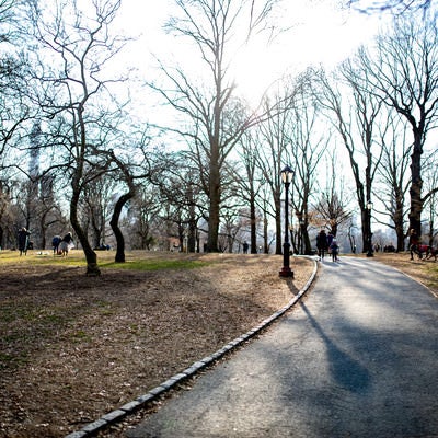 ニューヨークの公園の写真