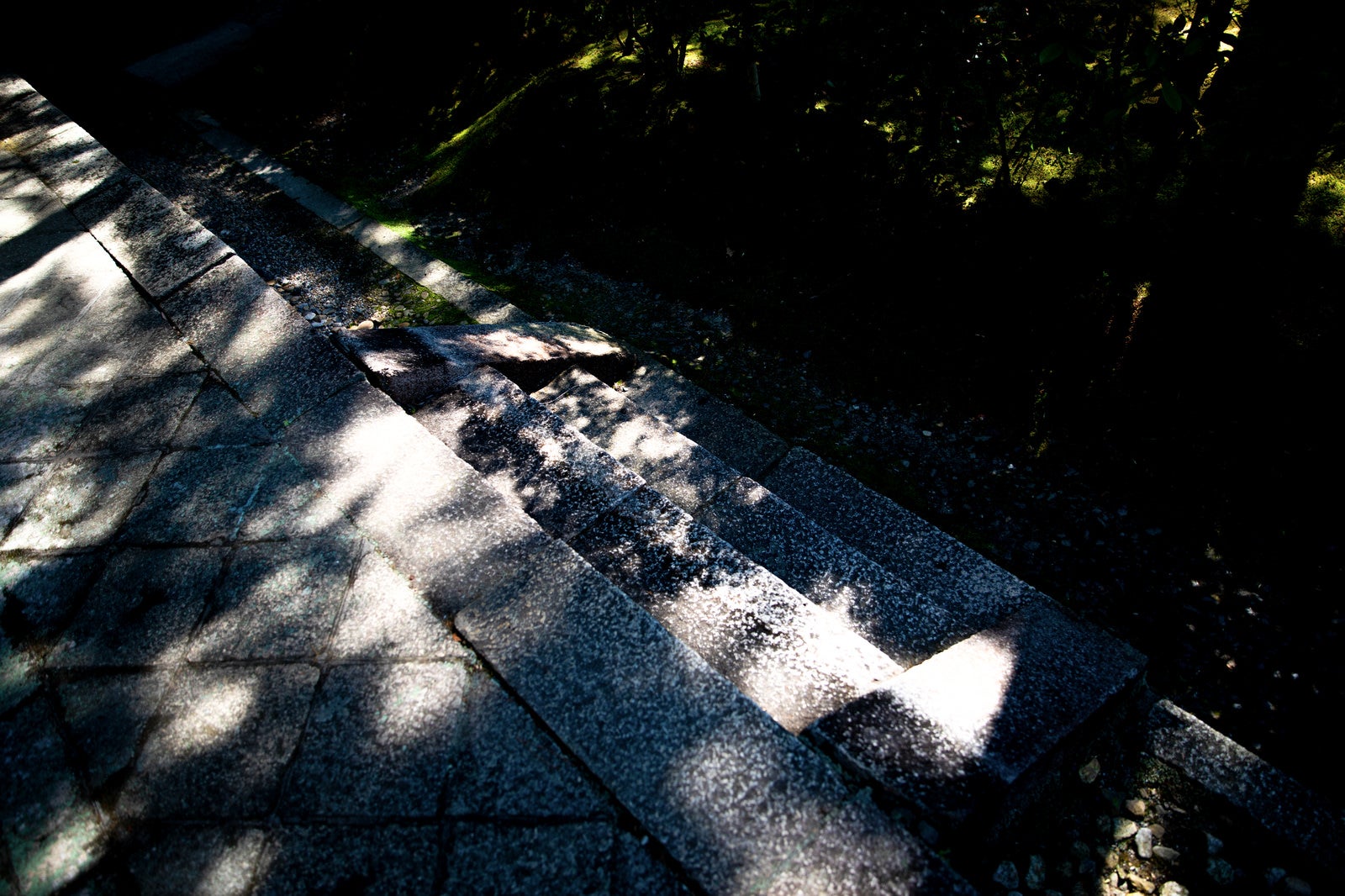 「石段に落ちる木々の影」の写真