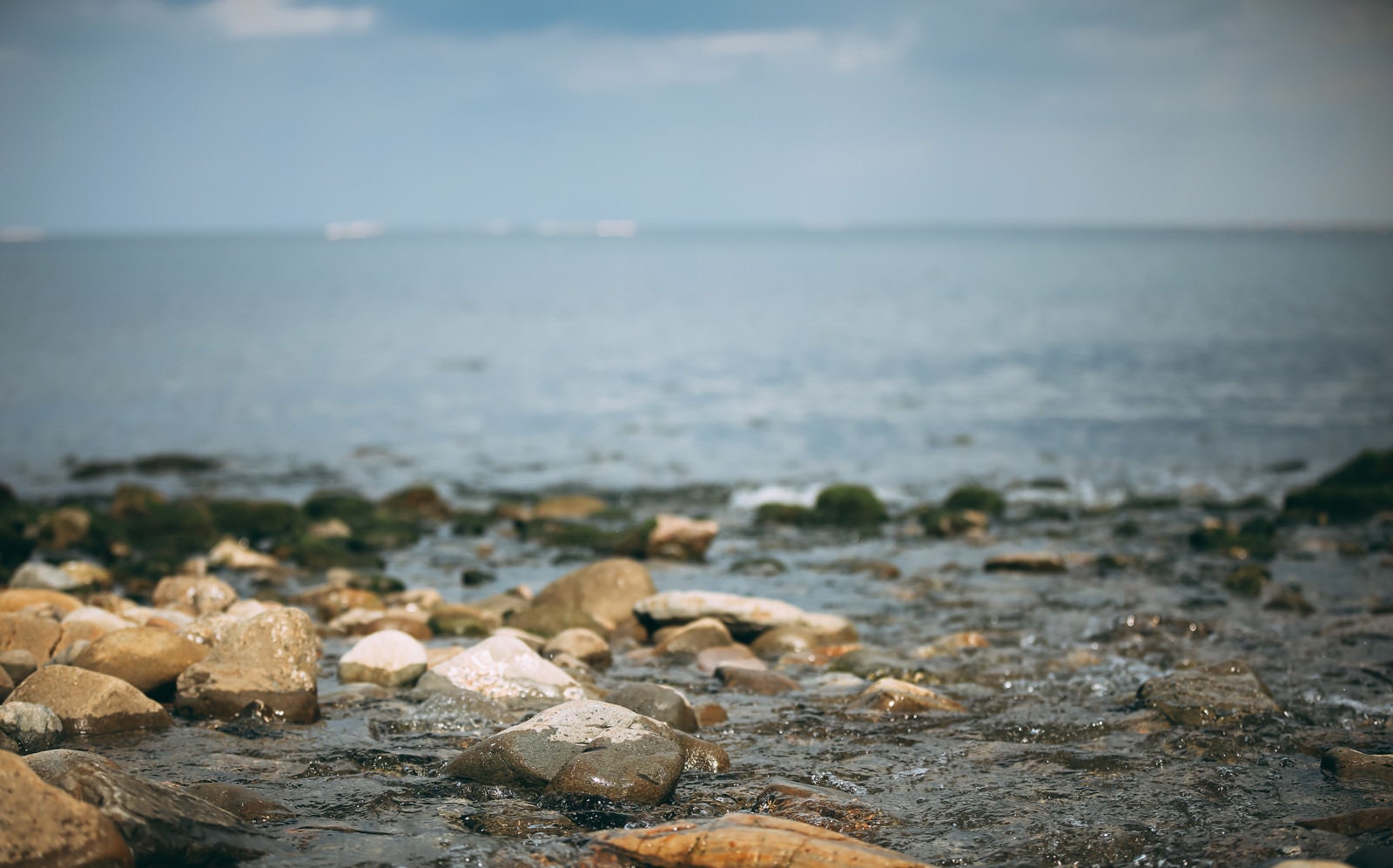「波打ち際と湿った石、そして海」の写真