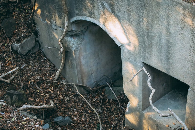 枯れ果てた下水管が招く廃墟の写真
