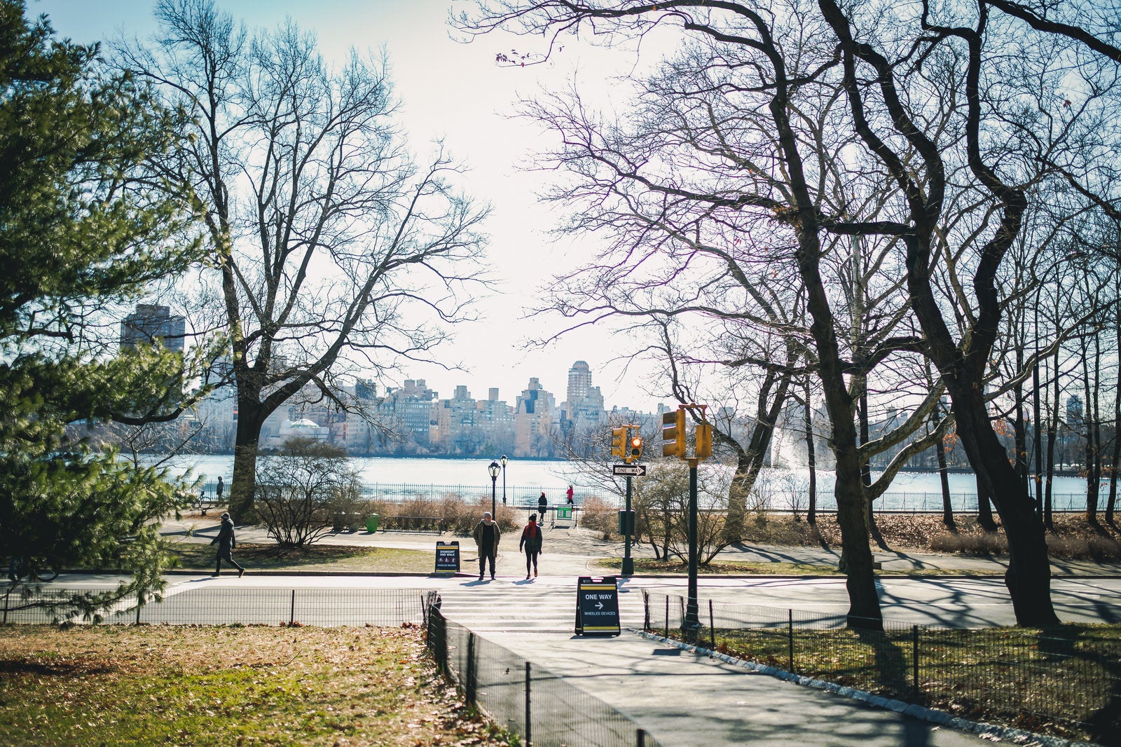 「ニューヨークの公園」の写真