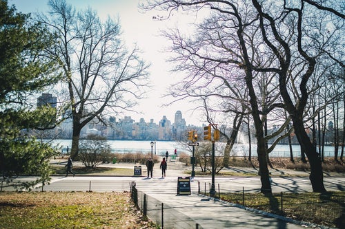 ニューヨークの公園の写真