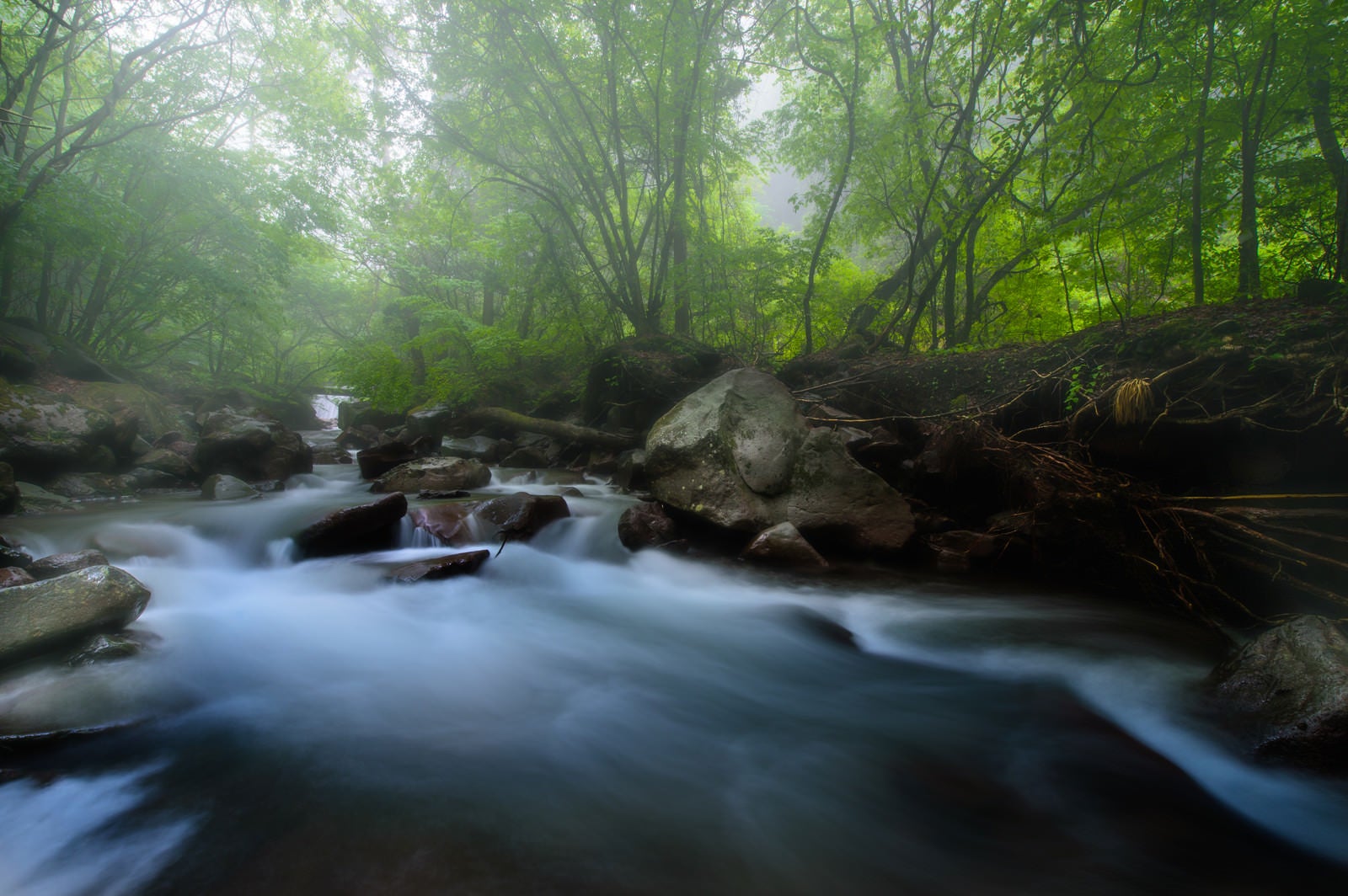 「横谷渓谷の静かに流れる川」の写真