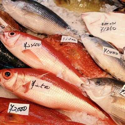 鯛やヒラメの魚市場の写真